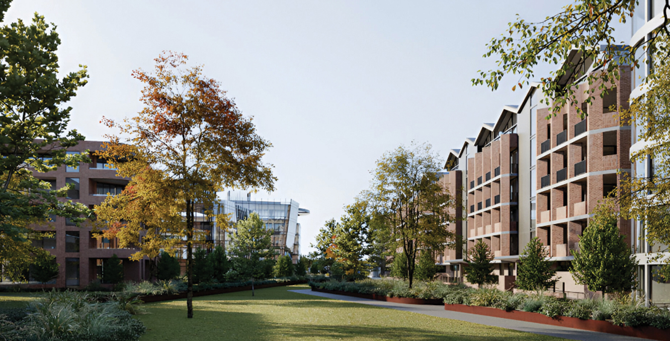 Central parkland design linking residential and public spaces in the Newlyne development
