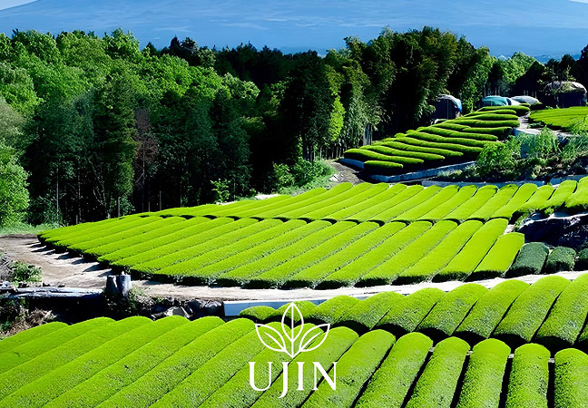 Children enjoying face painting activities at the Giralang retail launch community event