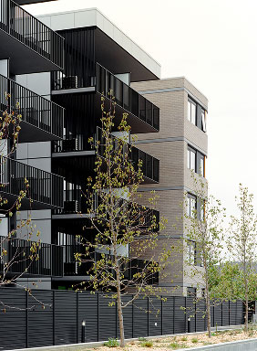 TP Dynamics IVES in Bruce, Canberra — contemporary townhouse exteriors with organic finishes