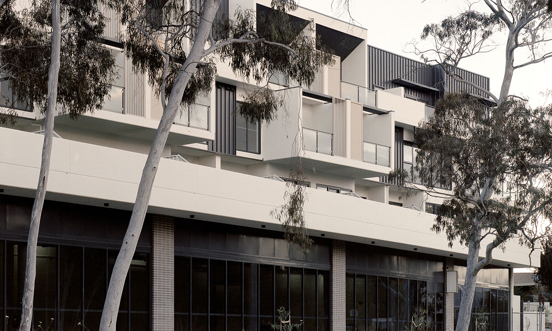 IVES by TP Dynamics – contemporary residential façade with trees, Bruce, Canberra, Australia.